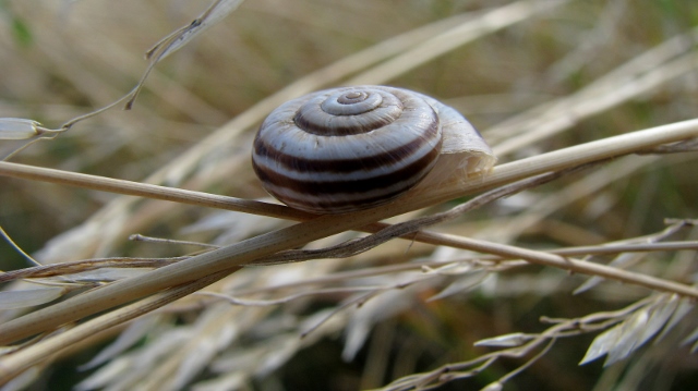 Bild 1490 (640x359)