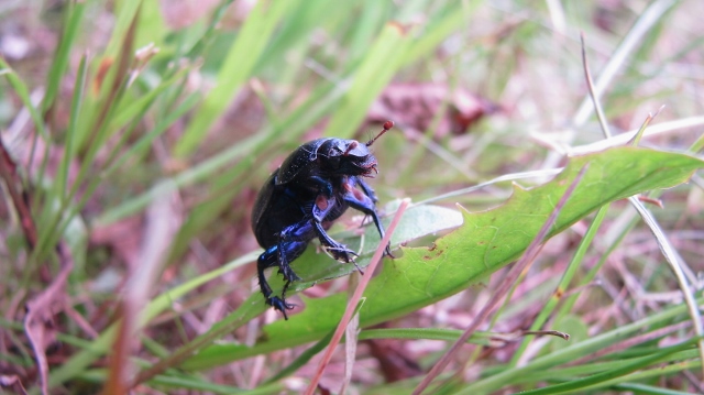 Bild 616 (640x359)