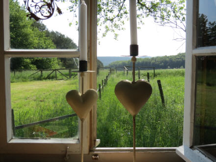 Blick aus Wiesenwagen