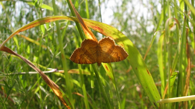 IMG_1576 (640x359)